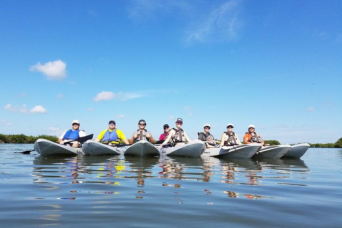 Mangrove Tunnels, Dolphins, Manatee Tour #1 Rated in Cocoa Beach - Cocoa Beach waters and the mangrove tunnel experience