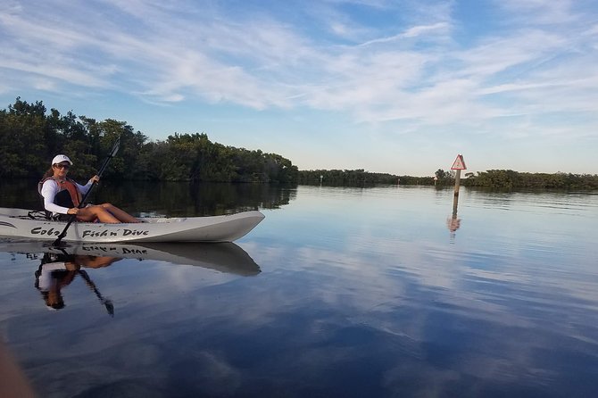 Mangrove Tunnels, Dolphins, Manatee Tour #1 Rated in Cocoa Beach - Choosing your kayak: single vs tandem and what it changes