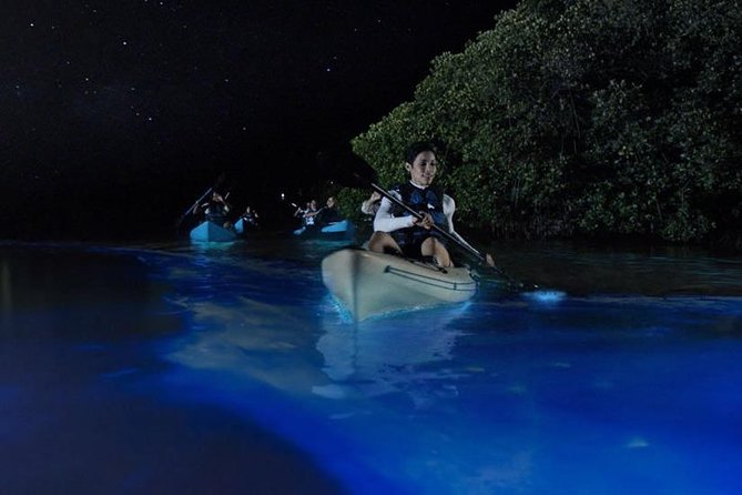 Mangrove Tunnels, Dolphins, Manatee Tour #1 Rated in Cocoa Beach - How good is the value at $59 per person?