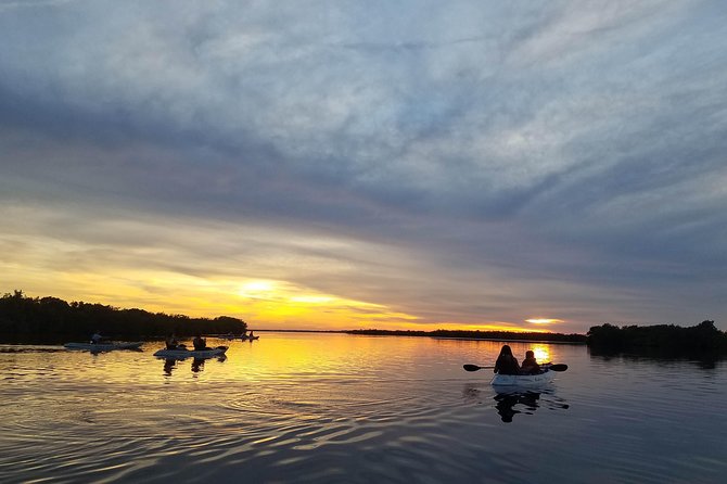 Mangrove Tunnels, Dolphins, Manatee Tour #1 Rated in Cocoa Beach - The 2-hour flow: from paddling basics to wildlife searching