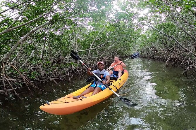 Mangroves and Manatees - Guided Kayak Eco Tour - Single or double kayak: choosing the right setup for your group