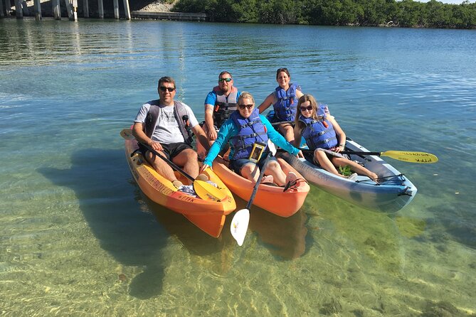 Mangroves and Manatees - Guided Kayak Eco Tour - Wildlife odds: manatees, turtles, rays, dolphins, and the “it happens” moments