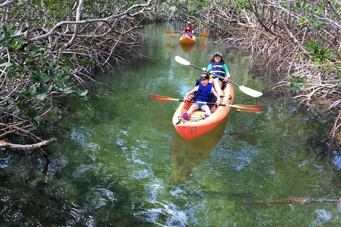 Mangroves and Manatees - Guided Kayak Eco Tour - Mangrove tunnels and swimming pauses: when the route turns magical