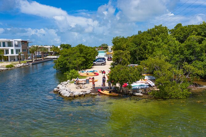 Mangroves and Manatees - Guided Kayak Eco Tour - Your guide matters: instruction plus local spotting
