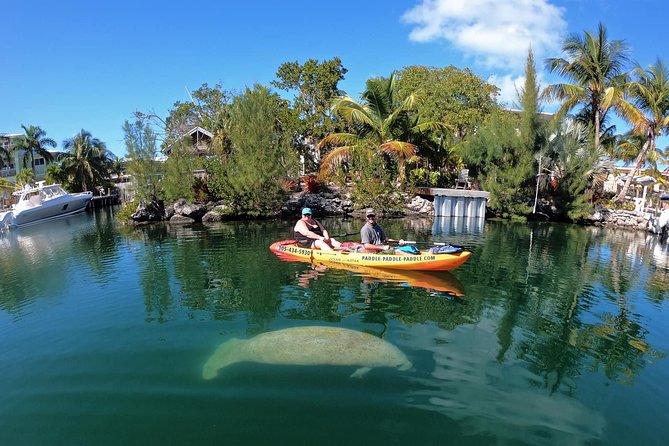 Mangroves and Manatees - Guided Kayak Eco Tour - Arrive, get fitted, and get oriented at the Old Hwy shop