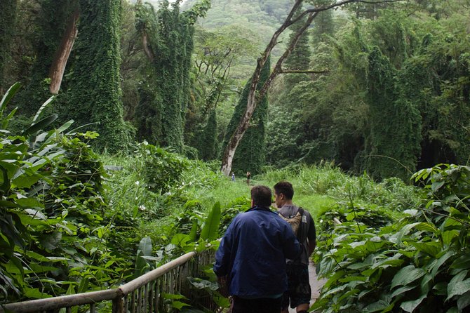 Manoa Falls Rainforest & Self-Guided Hike - Stop 1: Manoa Falls Base, With Directions and Time to Explore