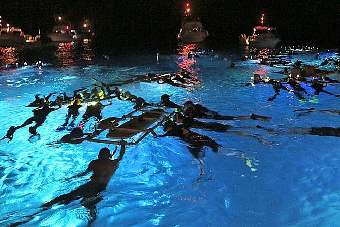 Manta Magic: Small-Group Manta Ray Night Snorkel in Kailua Kona - Key points before you go
