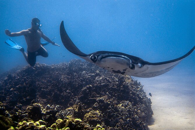 Manta Magic: Small-Group Manta Ray Night Snorkel in Kailua Kona - Snorkeling time: holding on, staying oriented, and what to expect in choppy water