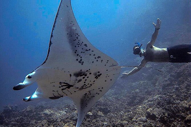 Manta Magic: Small-Group Manta Ray Night Snorkel in Kailua Kona - Sunset from the boat: a real option if you want the vibe without the water time