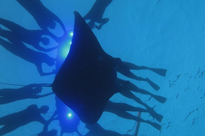 Manta Magic: Small-Group Manta Ray Night Snorkel in Kailua Kona - The crew, safety feel, and why small groups matter