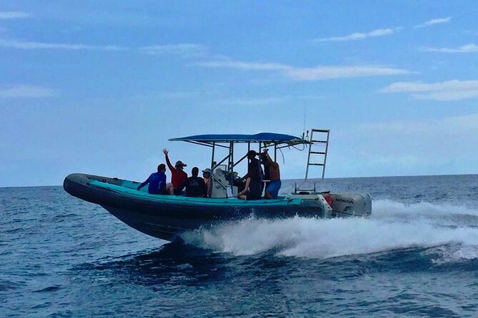 Manta Ray Night Snorkel at Kona, Big Island - The heart of it: what the in-water snorkeling feels like