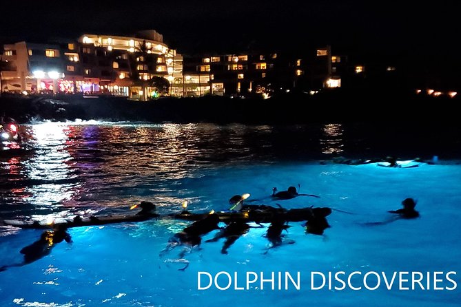 Manta Ray Night Snorkel at Kona, Big Island - Keauhou Bay and the feeding show after dark