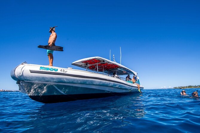 Manta Ray Night Snorkel from Kona — Small Group - What you might see beyond mantas