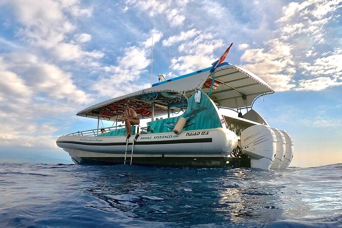 Manta Ray Night Snorkel from Kona — Small Group - Captains, guides, and the camera-friendly vibe