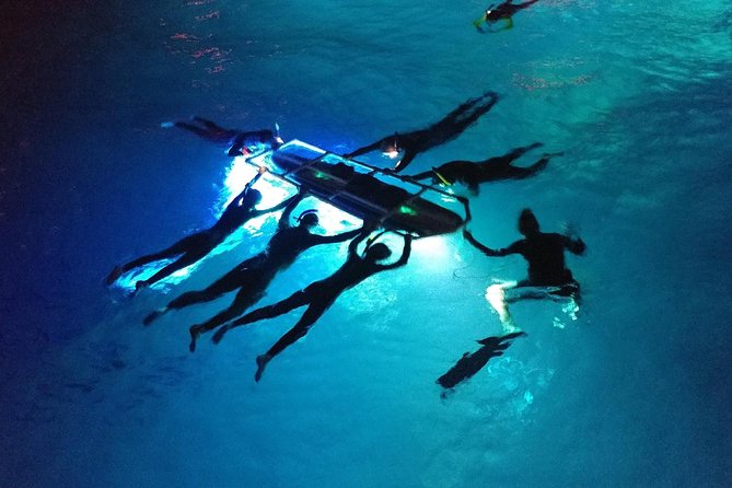 Manta Ray Night Snorkel Kona - Coral Reef Snorkel Adventures - Value check: is $125 a good deal for Kona manta rays?