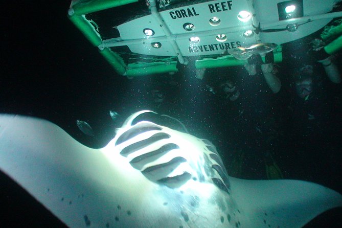 Manta Ray Night Snorkel Kona - Coral Reef Snorkel Adventures - Getting to Honokohau and setting expectations for the night ride