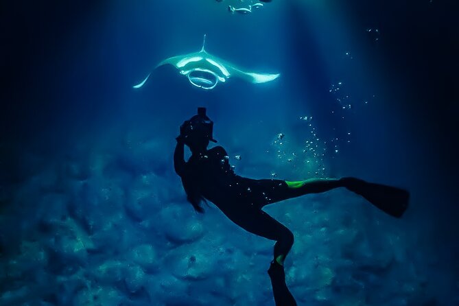 Manta Ray Night Snorkel Tour in Kailua-Kona, Big Island - Stop-by-stop: Garden Eel Cove, Kona coastline, and the Big Island view