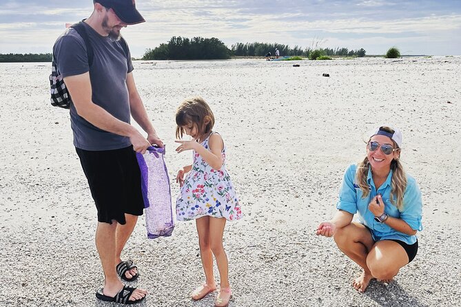 Marco Island Wildlife Sightseeing and Shelling Tour - Price and value: what you get (and what to plan for)