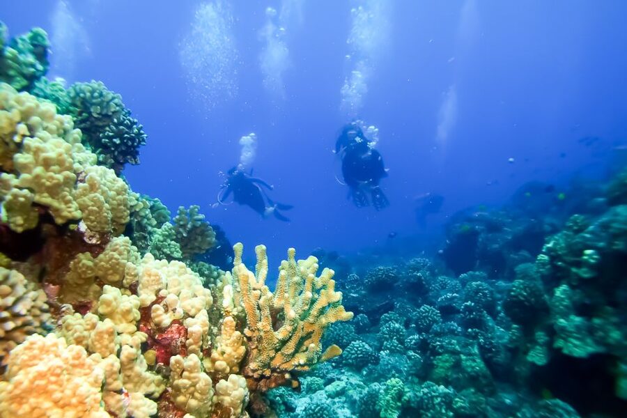 Maui: Eco-Friendly Molokini & Turtle Town Tour with Meals - Gear and what to bring, so you’re not shopping mid-day