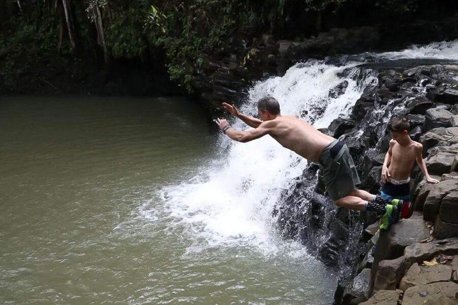 Maui: Guided Rainforest and Waterfall Walk & Swim - How the Guide Makes the Forest Click: Plants, Fruit, and Maui Storytelling
