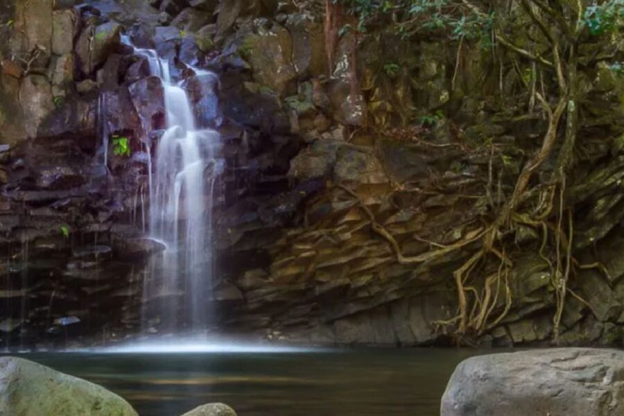 Maui: Guided Rainforest and Waterfall Walk & Swim - Price and Value: Is $140 Worth It for a 3-Hour Waterfall Day?