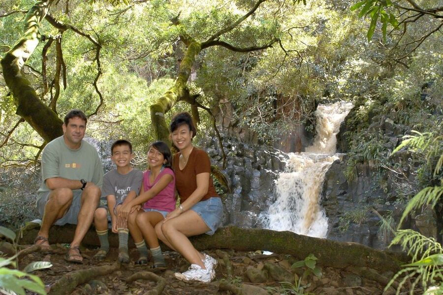 Maui: Guided Rainforest and Waterfall Walk & Swim - Who Should Book This Maui Rainforest and Waterfall Walk