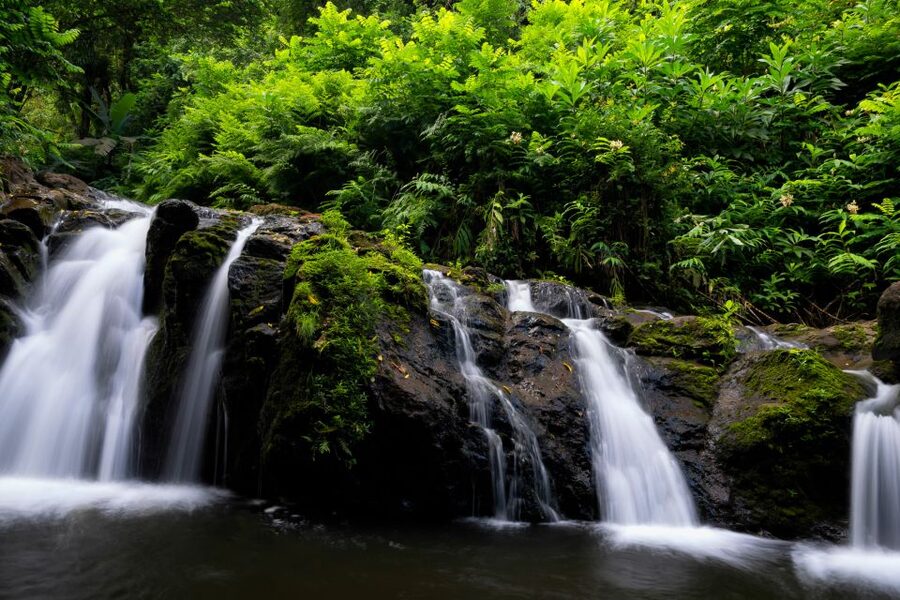 Maui: Guided Rainforest and Waterfall Walk & Swim - Should You Book This Tour?