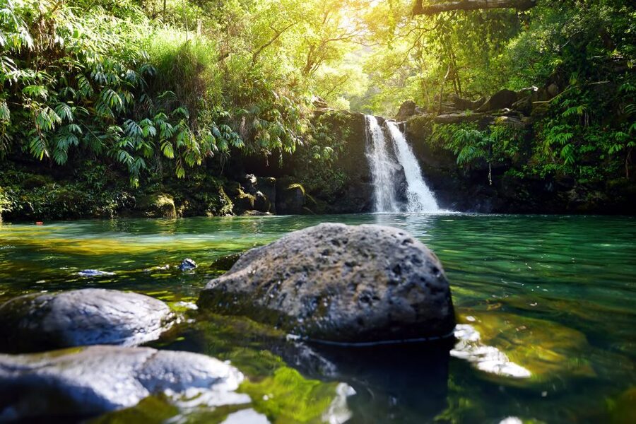 Maui: Guided Rainforest and Waterfall Walk & Swim - The One-Mile Loop: Easy in Distance, Real in Ground Conditions