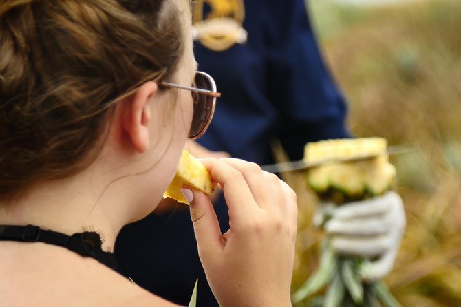 Maui Pineapple Farm Tour in Haliimaile - The Maui Gold Flavor Test and Why It Matters