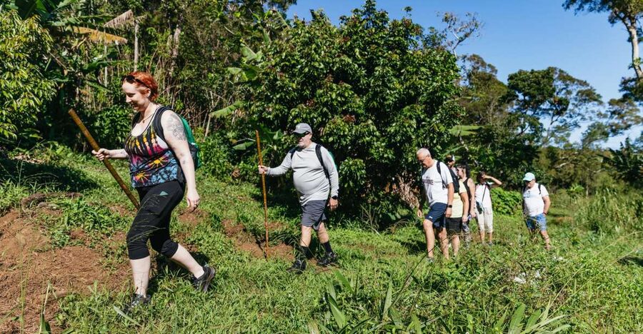 Maui: Rainforest Waterfalls Guided Hike with Picnic Lunch - Key highlights that make this Maui hike worth it