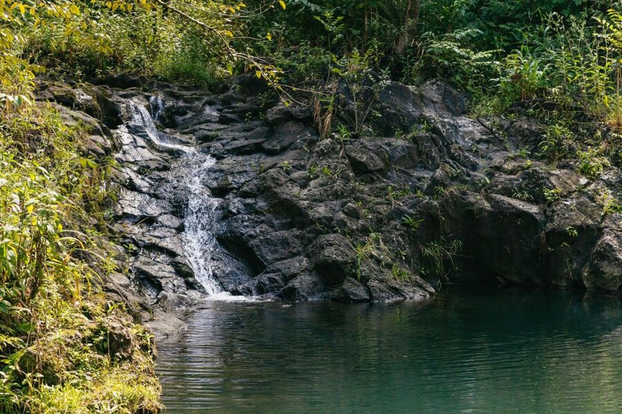 Maui: Rainforest Waterfalls Guided Hike with Picnic Lunch - Who this tour suits best, and who should rethink it