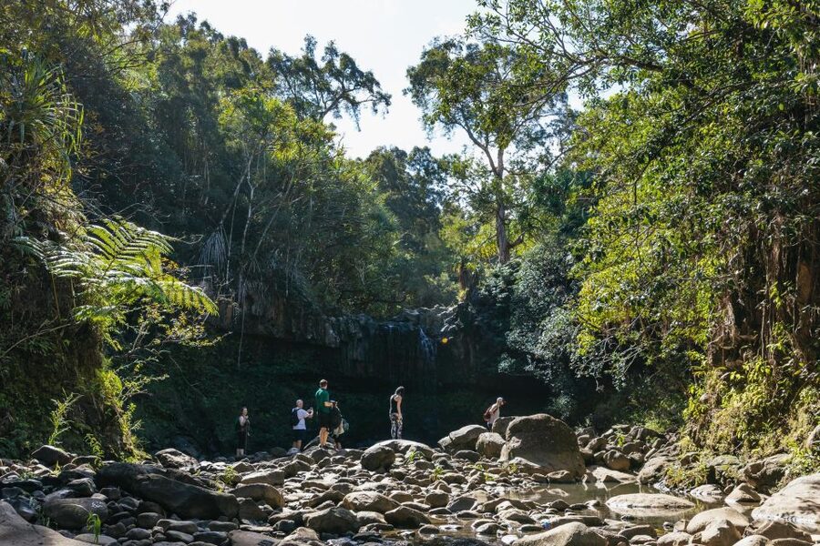 Maui: Rainforest Waterfalls Guided Hike with Picnic Lunch - Waterfall swims and jump spots: fun, but only if you’re set up right