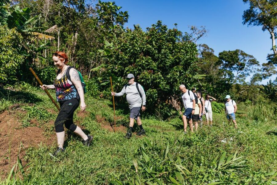 Maui: Rainforest Waterfalls Guided Hike with Picnic Lunch - Picnic lunch by the falls: what it is and why it works