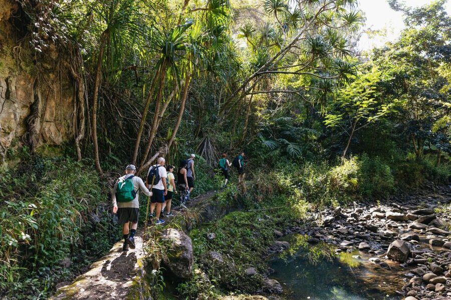 Maui: Rainforest Waterfalls Guided Hike with Picnic Lunch - What to bring: the small gear choices that prevent big annoyances