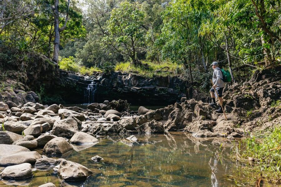 Maui: Rainforest Waterfalls Guided Hike with Picnic Lunch - Price and value: what $187 buys you in Maui time