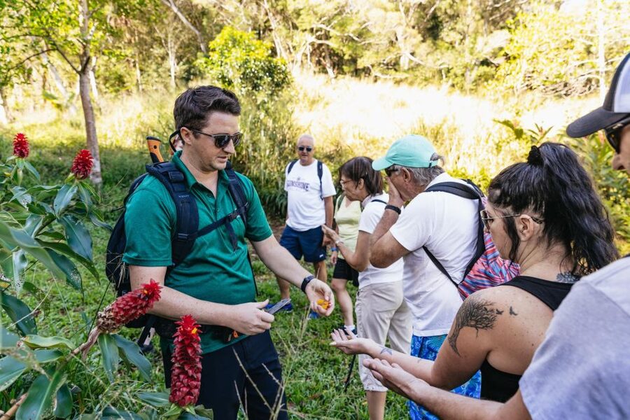 Maui: Rainforest Waterfalls Guided Hike with Picnic Lunch - Where you start outside Kahului, and how pickup changes your day