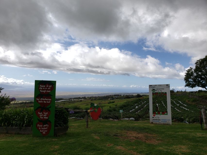 Maui: Road to Hana Adventure with Breakfast & Lunch - The Hana Highway route: what you see, and why each stop matters