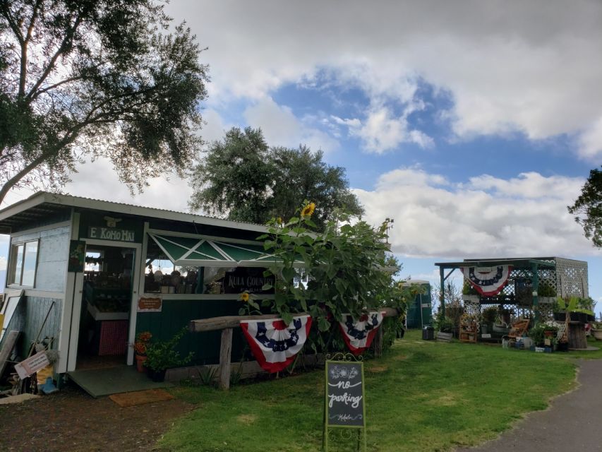 Maui: Road to Hana Adventure with Breakfast & Lunch - Price and value: why $219 feels reasonable here