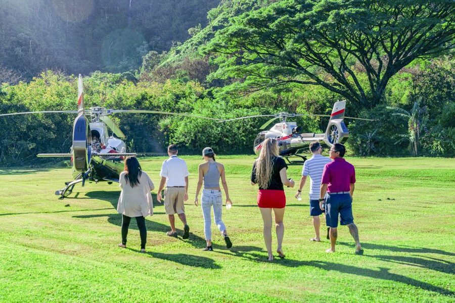 Maui: Road to Hana Helicopter & Waterfall Tour with Landing - Why a Hana rainforest landing from Kahului is the fast route to wow