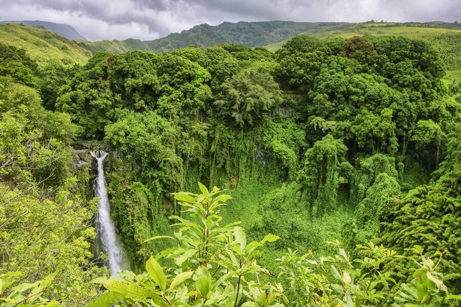 Maui: Small-Group Road to Hāna Sightseeing Tour - Key takeaways before you go