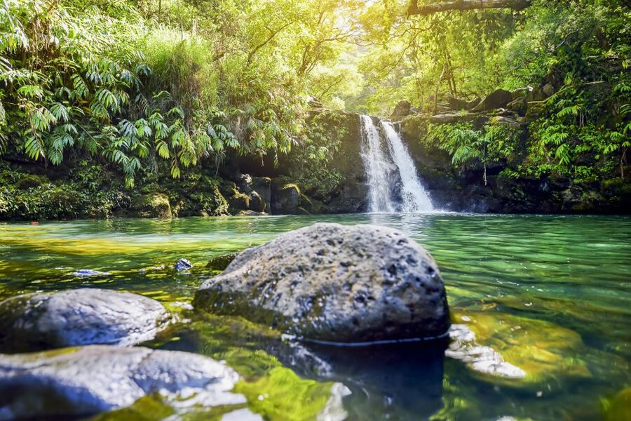 Maui: Small-Group Road to Hāna Sightseeing Tour - Price and value: why $250 can make sense here