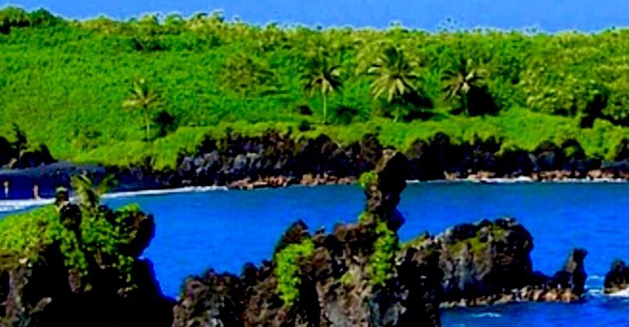 Maui: Small-Group Road to Hāna Sightseeing Tour - Coastal viewpoints and the rainforest-to-desert contrast
