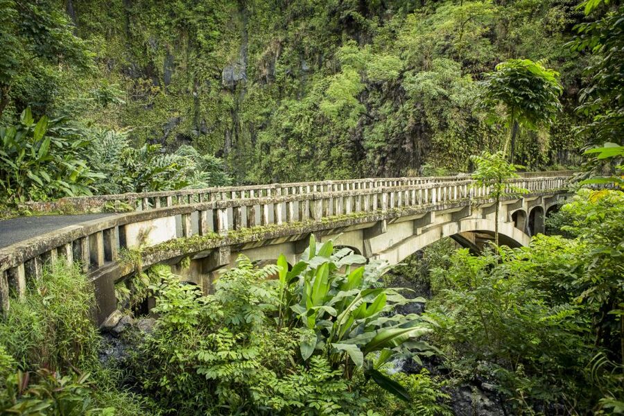 Maui: Small-Group Road to Hāna Sightseeing Tour - Waterfalls and beaches, including black sand at Waiʻānapanapa