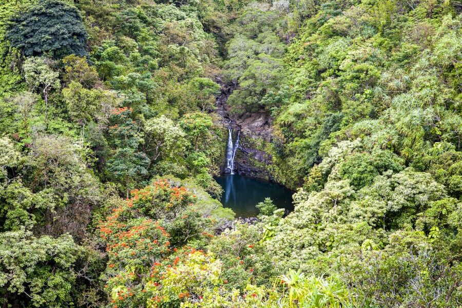 Maui: Small-Group Road to Hāna Sightseeing Tour - Lunch is the real deal, not an afterthought