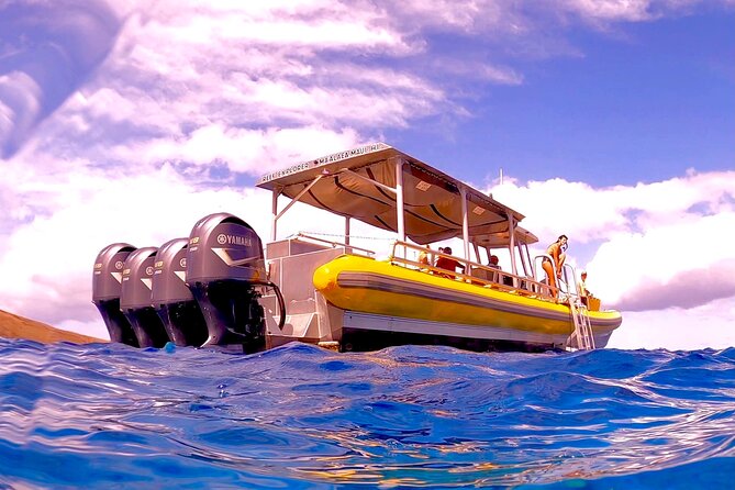 Maui Snorkel Adventure: Molokini Crater and Turtle Cove - Molokini Crater and Turtle Cove, the value of doing both