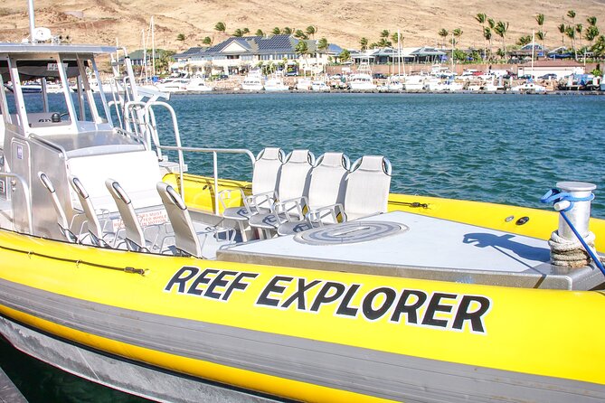 Maui Snorkel Adventure: Molokini Crater and Turtle Cove - Lunch, snacks, and the small comforts that keep you happy