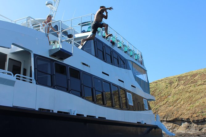 Maui Snorkeling Adventure From Ma'alaea Harbor to Molokini - The whale-watching bonus: when the ocean gives you extra