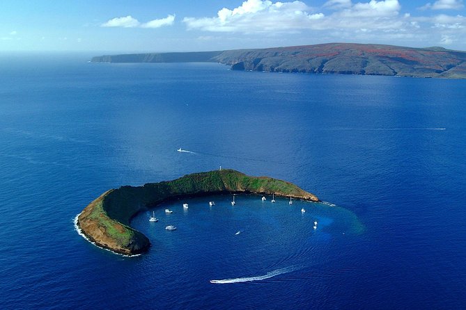 Maui Snorkeling Adventure to Molokini and Turtle Town - Early Check-In at Maalaea Harbor (This Trip Starts Like a Mission)