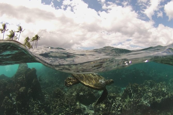 Maui South Coast and Molokini Crater Adventure from Kihei - The Kihei raft ride: fast, small, and built for getting you there