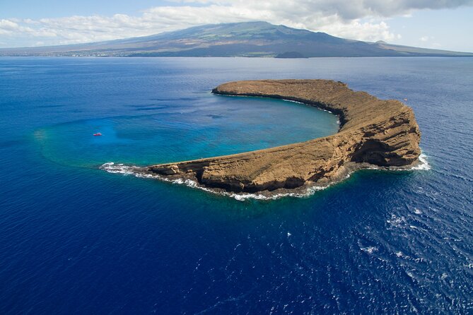 Maui South Coast and Molokini Crater Adventure from Kihei - La Perouse Bay and Turtle Town: lava, possible spinner dolphins, then Hawaiian green sea turtles